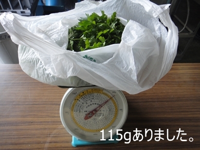 n2ڂ̃pN`[115g