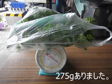 n3ڂ̃pN`[275g