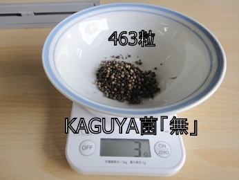 KAGUYA菌「無」のパクチーの種は全部で3g