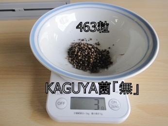 KAGUYAہuṽpN`[̎͑S3g