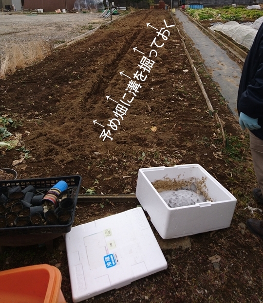 土壌改良で予め溝を掘る