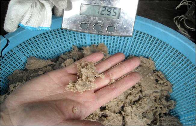 脱水で水分が抜けたコンニャクのゴミ12.95kg