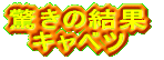 �L���x�c